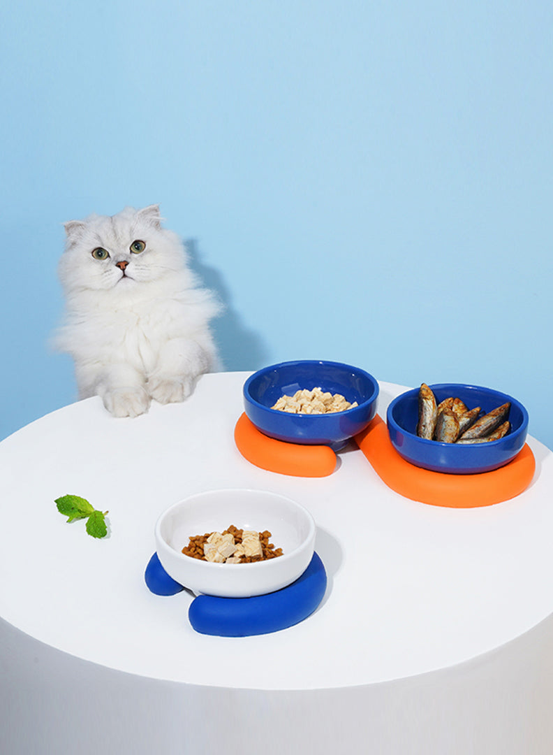 Ceramic Pet Bowl